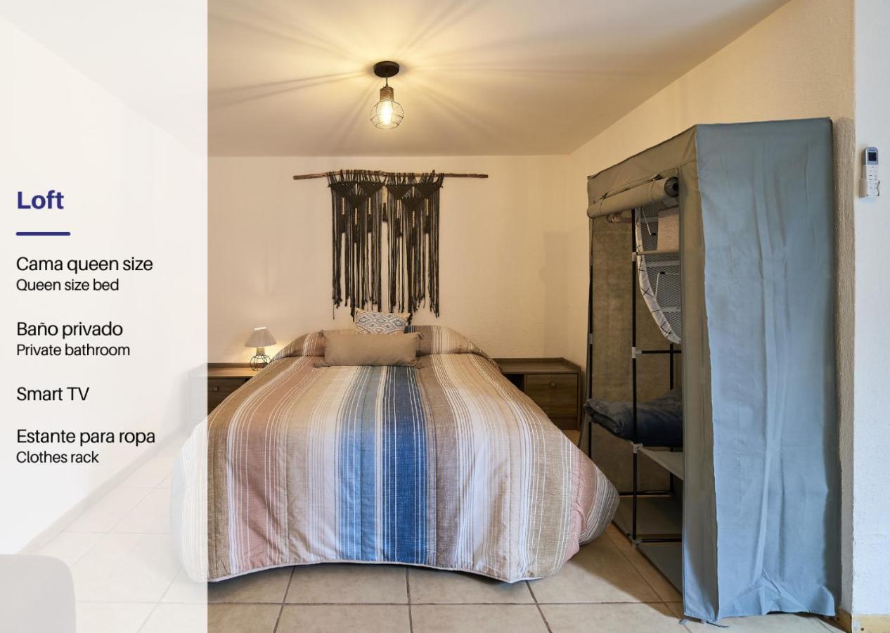 Cozy Studio In Roma Norte Meksyk Zewnętrze zdjęcie